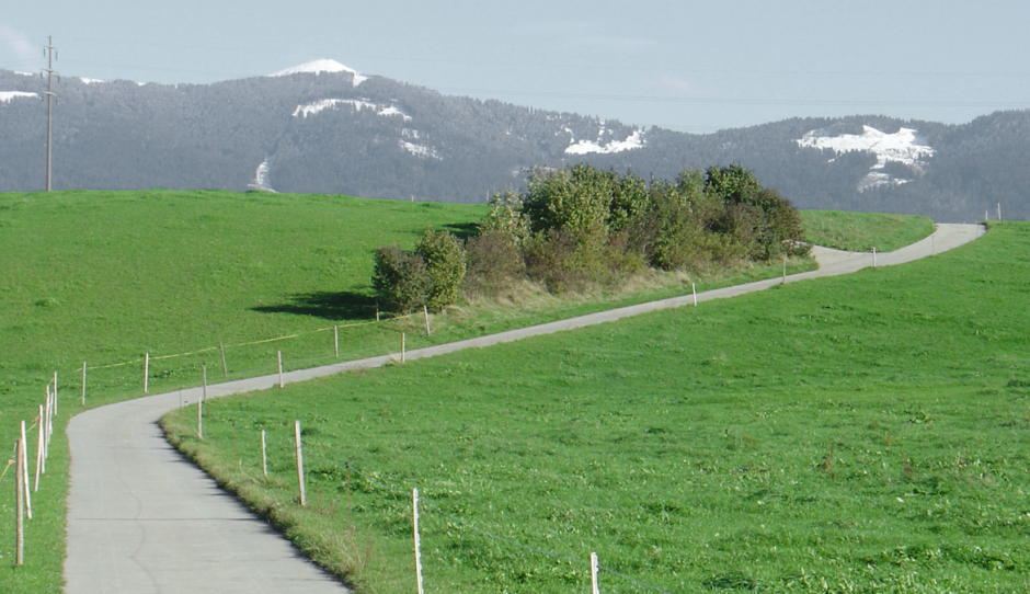 chemin agricole