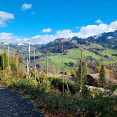 gabarits_bois_cerniat